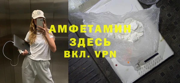 МДПВ Пересвет