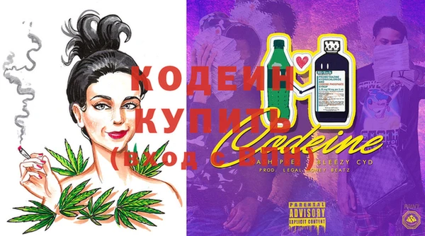 МДПВ Пересвет