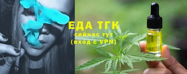 МДПВ Пересвет