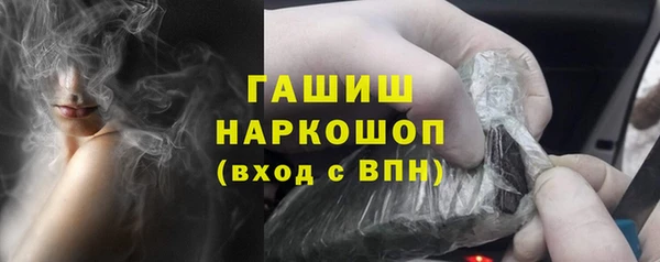 МДПВ Пересвет