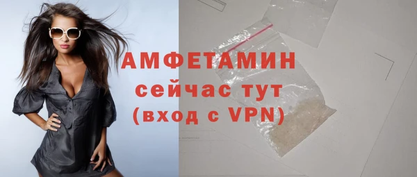 МДПВ Пересвет
