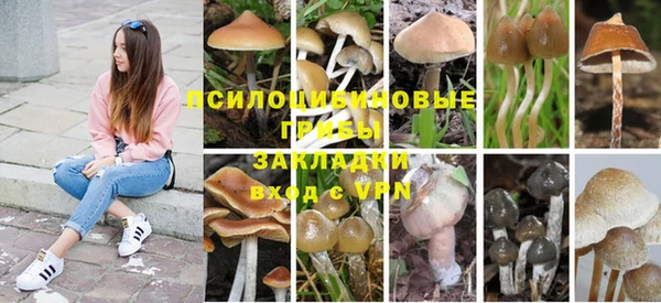 гашик Покров