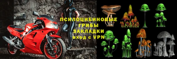 МДПВ Пересвет