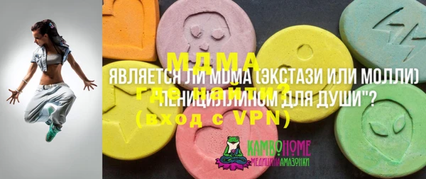 МДПВ Пересвет