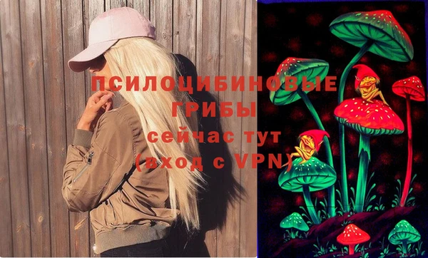 МДПВ Пересвет
