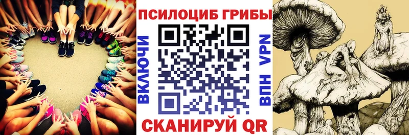 даркнет сайт  Сарапул  Галлюциногенные грибы Cubensis 