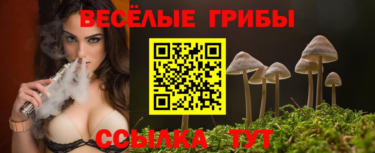 Псилоцибиновые грибы ЛСД Сарапул